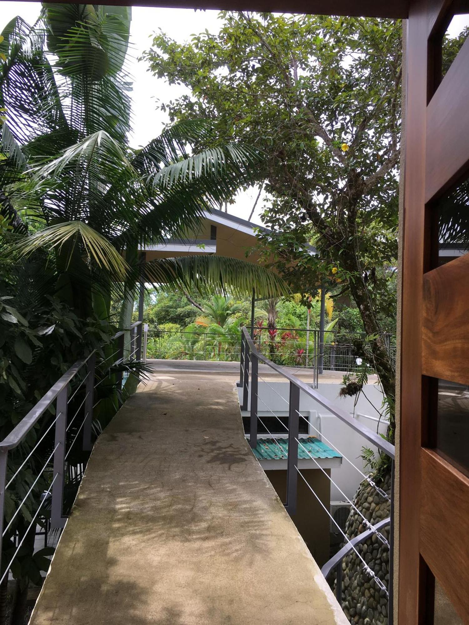 Casa Libertinn Manuel Antonio Oda fotoğraf