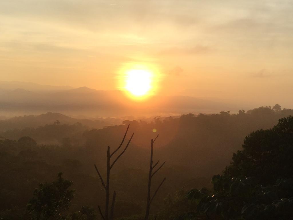 Casa Libertinn Manuel Antonio Dış mekan fotoğraf