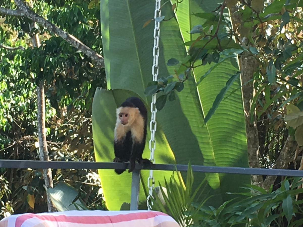 Casa Libertinn Manuel Antonio Dış mekan fotoğraf